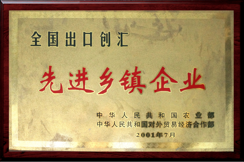 全國出口創(chuàng)匯-先進鄉(xiāng)鎮(zhèn)企業(yè)